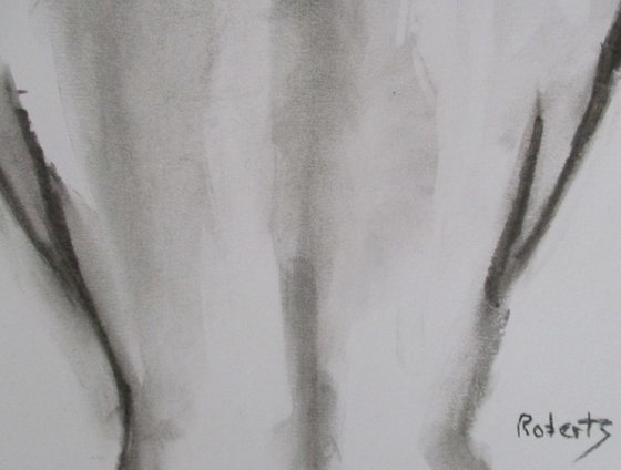 Charcoal drawing 26081