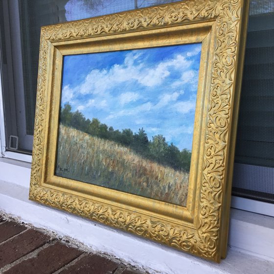 FIELD OF BROOM SEDGE