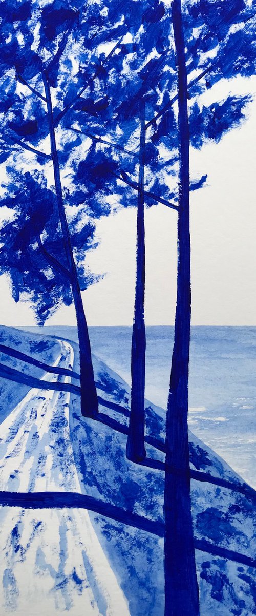 The coastal path by Cadiou Frederic