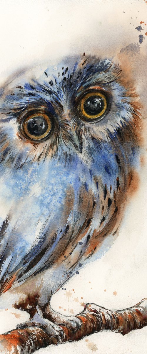The Owl by Sophie Rodionov
