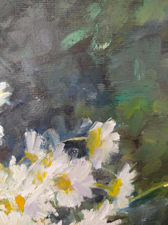 Daisies on a bench