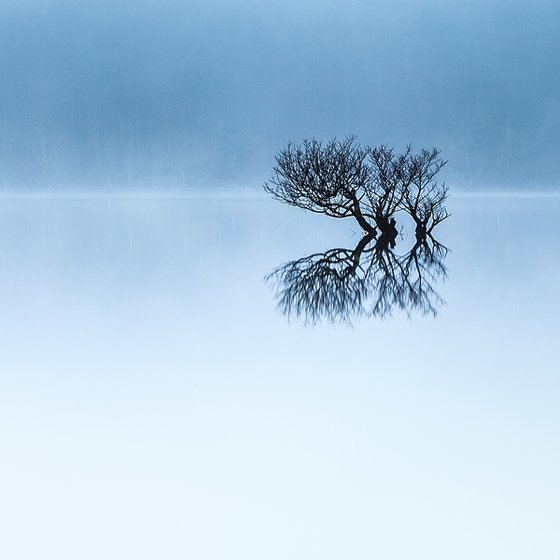 Lost in the mist.....