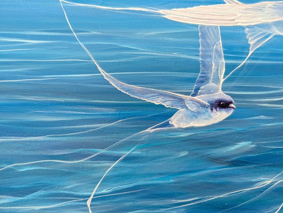 Enchanted, a blue seascape with birds