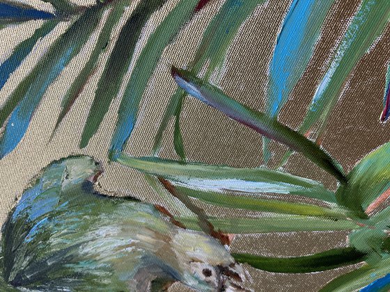 Echo of tropical morning