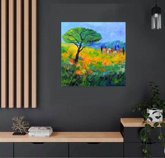 A pinetree in Tuscany