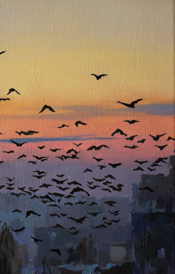 Flock at First Light