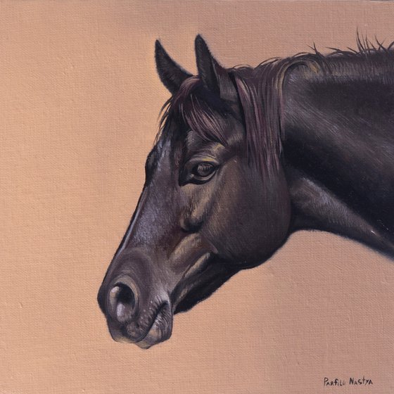 Horse Portrait 28