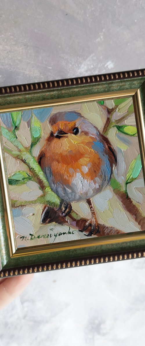 Robin bird by Nataly Derevyanko