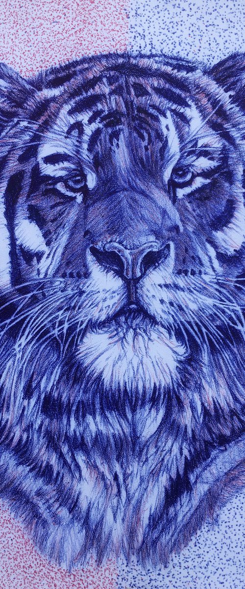 Fearless by Emmanuel Akolo