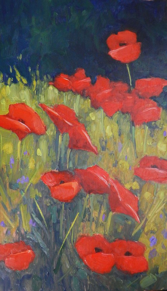 Poppies on a Summer Day