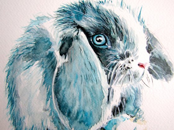 Cute rabbit