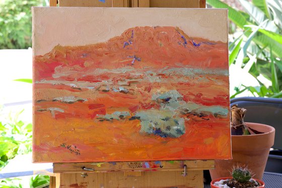 Southwestern Desert