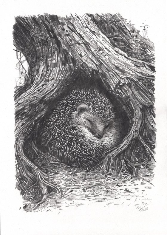 Hedgehog Among the Roots