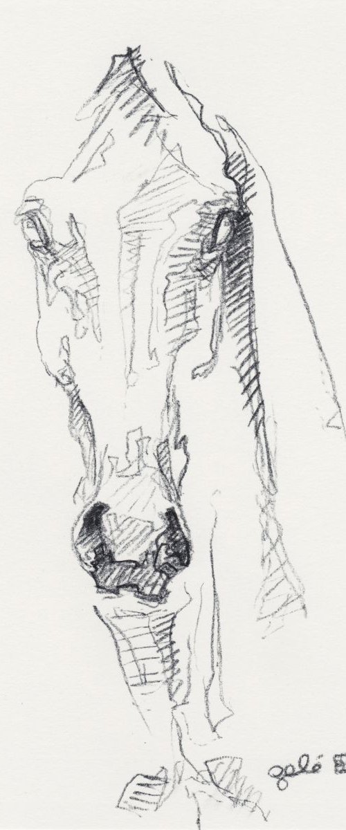 Sketch 325 by Benedicte Gele
