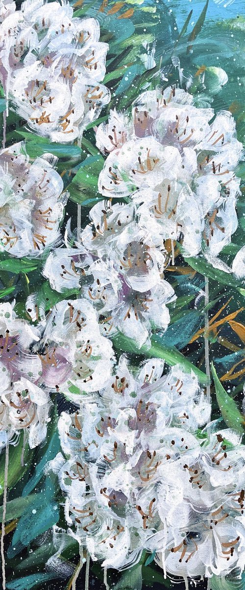 Make It Grand- white rhododendron flower by HSIN LIN