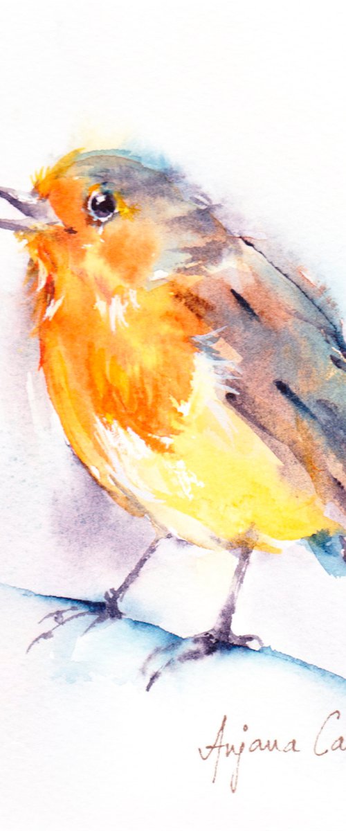 Robin by Anjana Cawdell