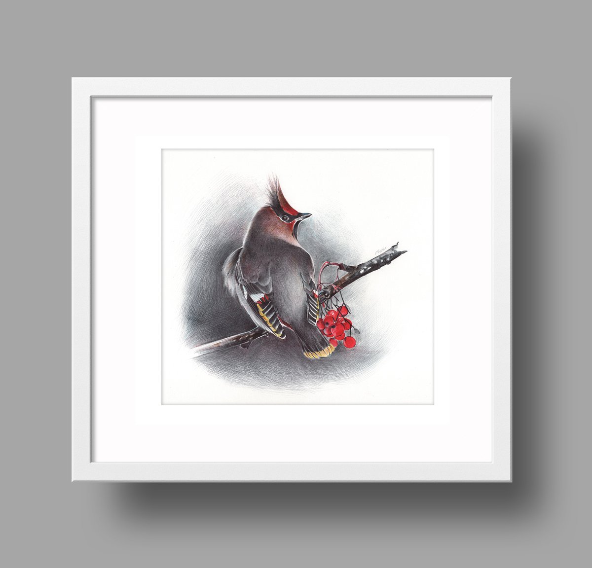 Photorealistic Animal Drawing By Daria Maier, 11 X 10, Bohemian Waxwing, Original Artwork