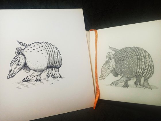 Armadillo