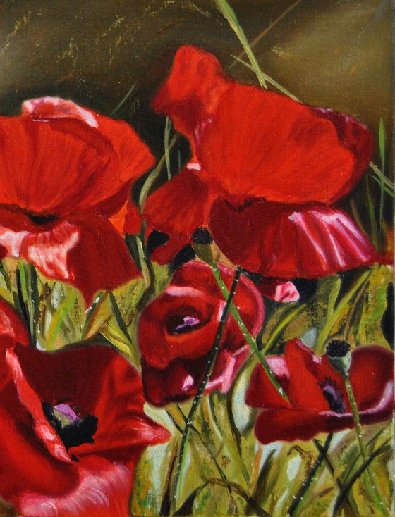 Poppies, Original Oil Painting