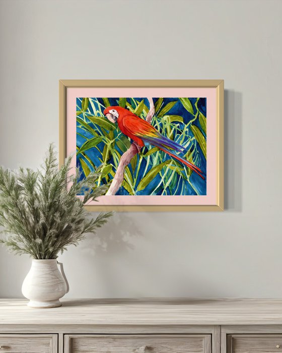 Scarlet MAcaw in the Jungle