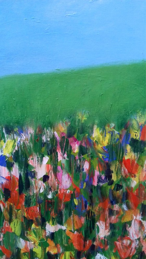 Summer Flower Meadow