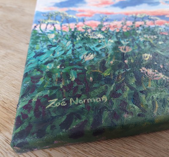 Evening Light - Sunset