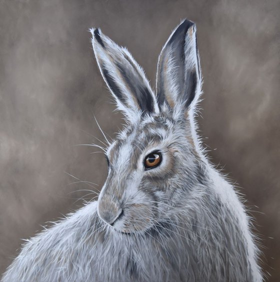 'Mountain Hare'