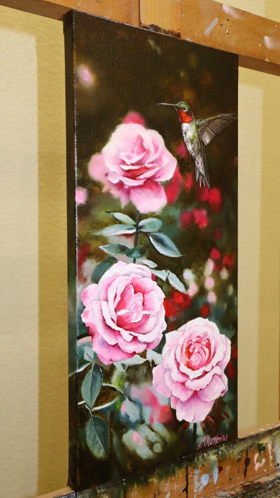 Ruby Throated Hummingbird and Pink Roses