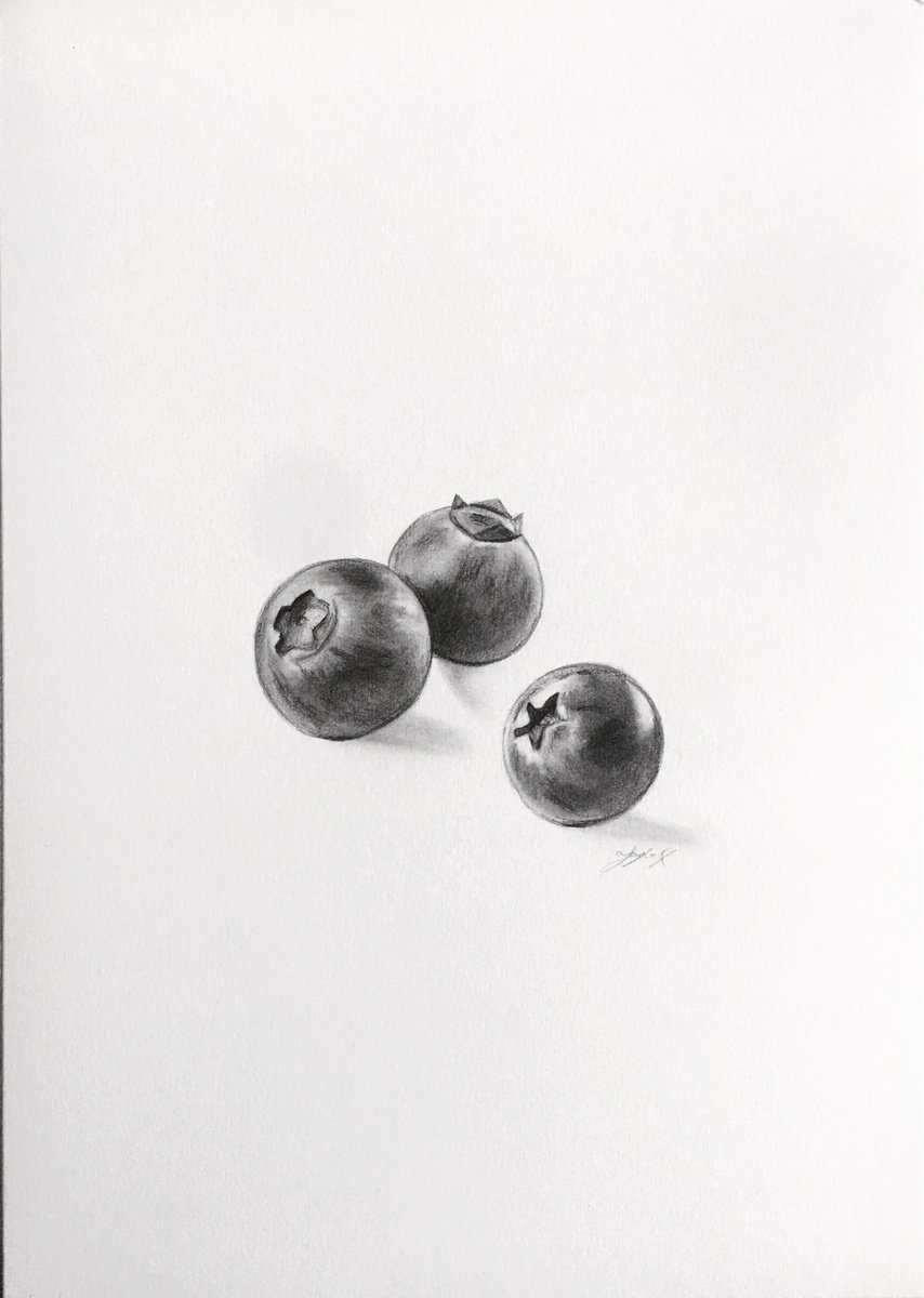 Blueberries by Amelia Taylor