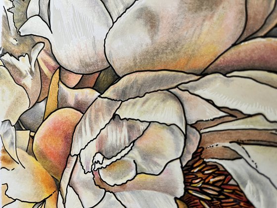 Peach Peony