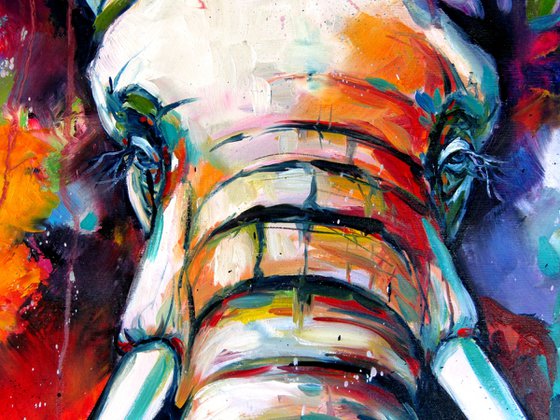 Majestic colorful elephant