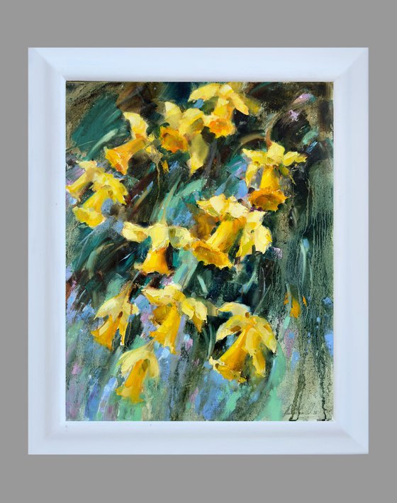 Daffodils. Spring flowers