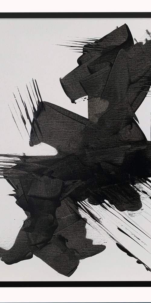 Black &amp; White. (1) by Vita Schagen