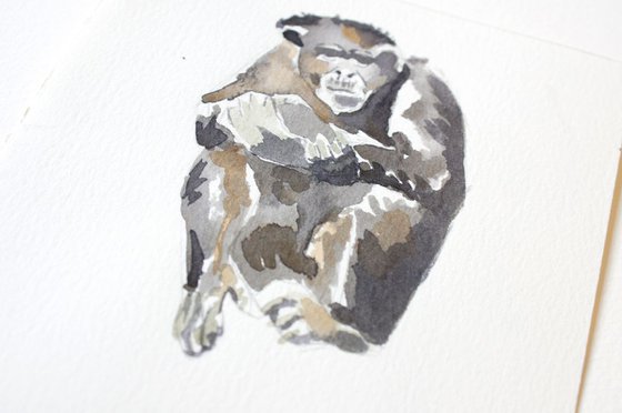 Chimpanzee Watercolour
