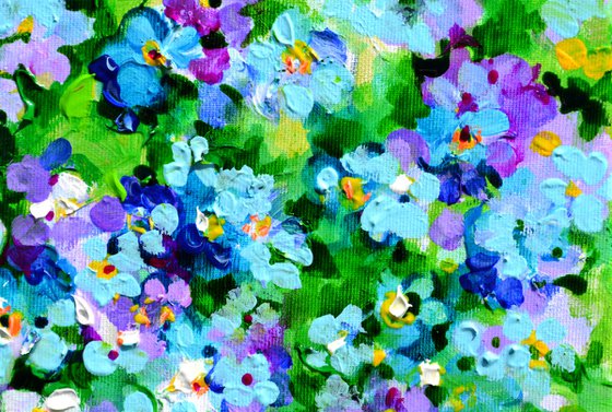 Wild Forget Me Not Flowers
