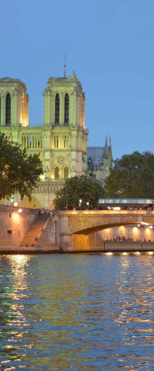 " The Seine. Notre-Dame de Paris " Limited Edition 1 / 50 by Dmitry Savchenko