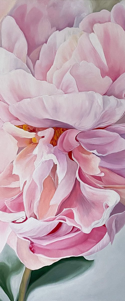 Pink Peony by Anna Lyashenko