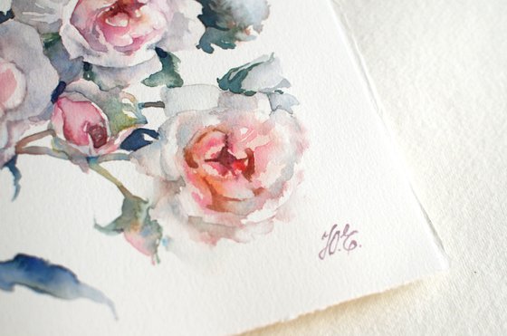 Watercolor roses on white