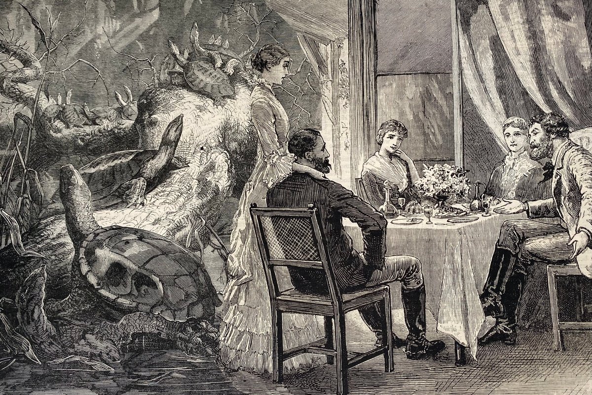 Surrealistic Portrait Collage By Tudor Evans, 9 X 6", Lunch With The Turtles, Original Artwork