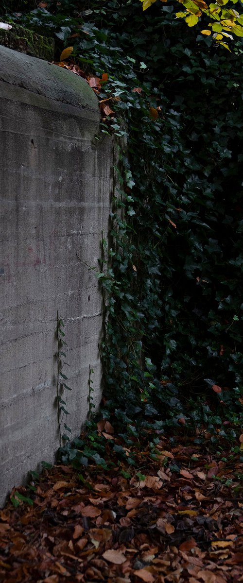 The eternal hold up #025 by Carla Piacenza
