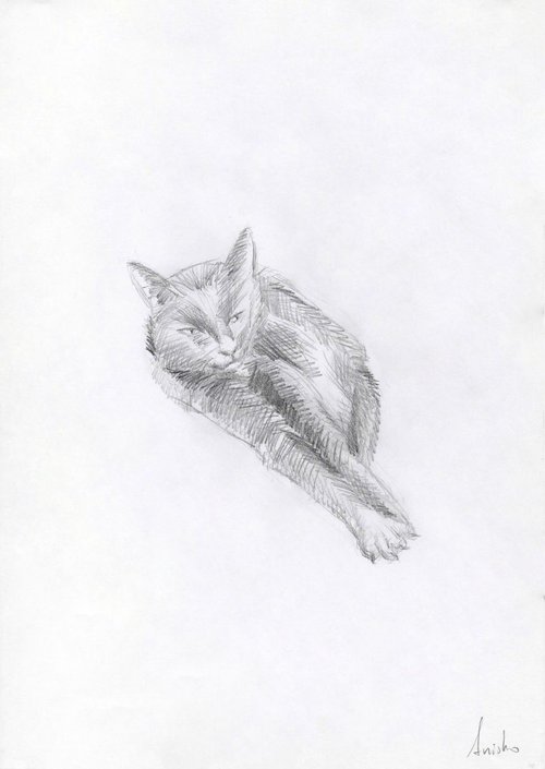 Cat Study 4 by MK Anisko