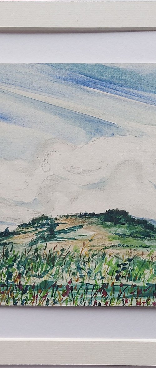 Wexford Daze - summer morning over Tara Hill by Niki Purcell