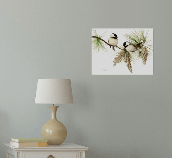 Chickadees on the Pine Tree