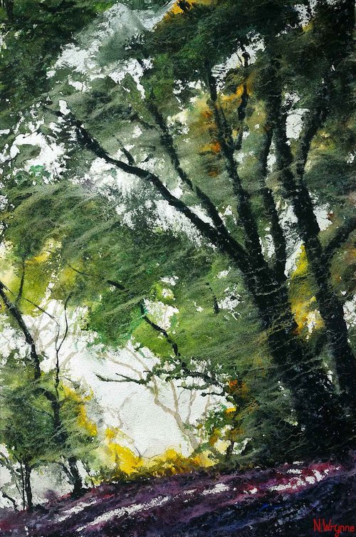 In Old Woods by Neil Wrynne