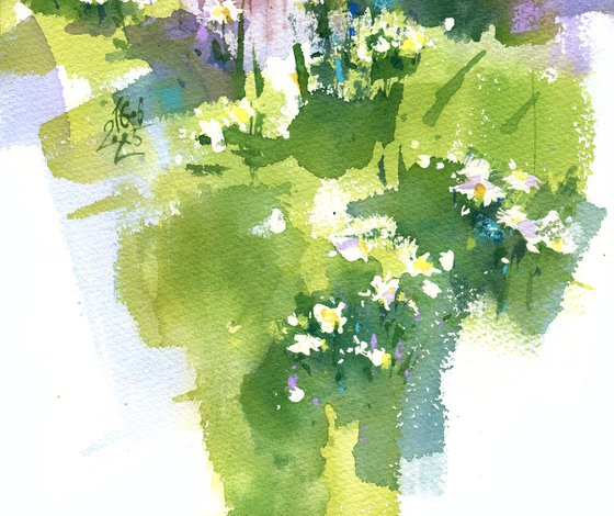 A field of daisies