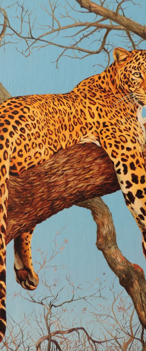 The leopard by Kakajan Charyyev