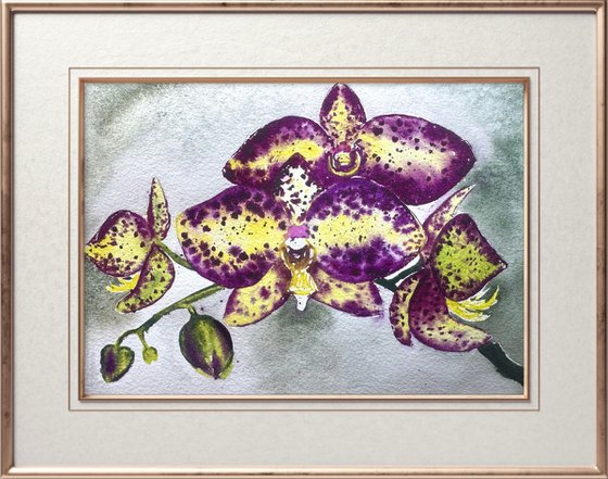 Wild orchid flower Orchid