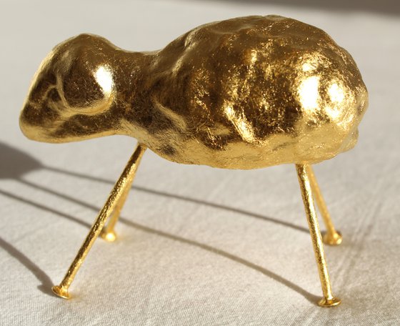 Gold Sheep