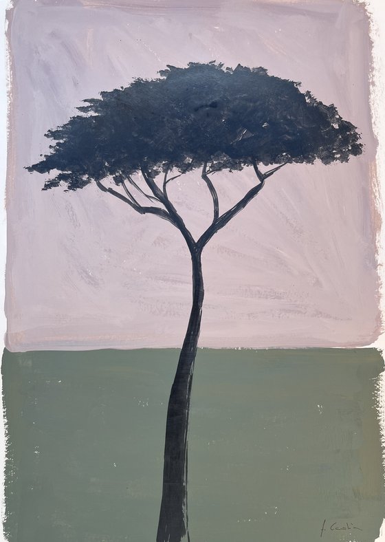 Pinetree