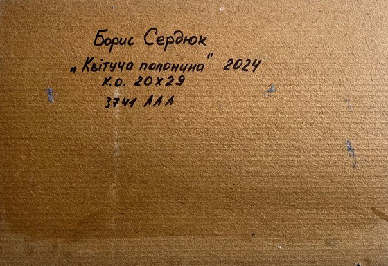 Flowery Mountain Meadows